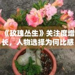 《玫瑰丛生》关注度增长，人物选择为何比感情推进更能抓住观众
