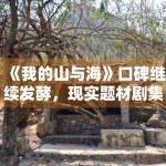 《我的山与海》口碑继续发酵，现实题材剧集怎样留住长期讨论